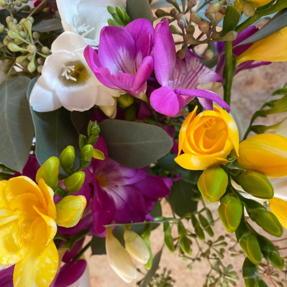 Profile Picture of Lenka Kulic (@lenkakul) on Poshmark