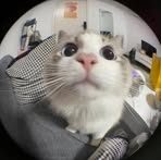 Profile Picture of Pamela Glico (@pamela.glico.2025) on Facebook