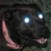 Profile Picture of John Longmire (@ilostmybacon) on Youtube