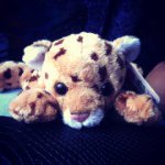 Profile Picture of _trey_barker_ (@_trey_barker_) on Instagram