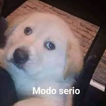 Profile Picture of Adrián Reséndiz Meneses (@MenesesResendiz) on Twitter