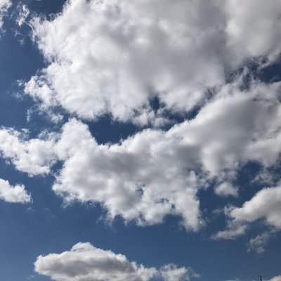 Profile Picture of Kelly Clark (@JeffRigney) on Twitter