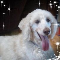 Jo Galvin - Quora Profile Picture of Jo Galvin (@jo-galvin-4) on Quora