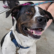 Profile Picture of Kyle Ammerman (@CableRepairMan06) on Youtube