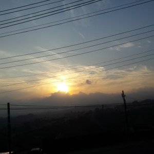 Profile Picture of Miguel Botello (@miguelbotello18) on Twitter