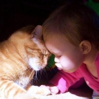 Profile Picture of Indra Rahmanovich (@ind_rahmanovich) on Twitter