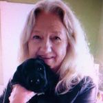 Profile Picture of Lori Squires (@lori.corletta) on Instagram