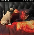 Profile Picture of Clint Richards (@clint.richards.524) on Facebook