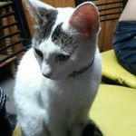 Biancaavilez - Instagram Profile Picture of Biancaavilez (@biancaavilez1) on Instagram