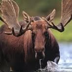 Steven Naffziger - Facebook Profile Picture of Steven Naffziger (@steven.naffziger.3) on Facebook