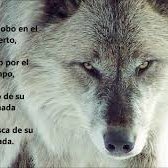 Profile Picture of Lester Morales (@alexander889564) on Twitter