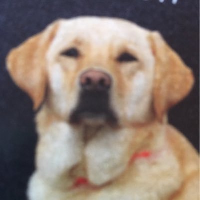 Profile Picture of Matti Springer (@OldridAnn) on Twitter