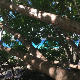 Profile Picture of Ariel Werbel (@arielwerbel) on Instagram