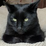 Profile Picture of Jake & Milo (@jake.and.milo) on Instagram