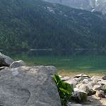 Profile Picture of Javier Alejandro Cohen Rasse (@cohjavieralejandro) on Instagram