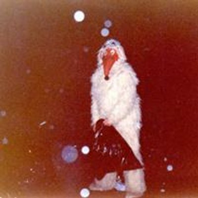 Profile Picture of Frederick Harrison (@HerissonWomble) on Twitter