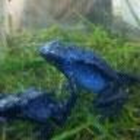 Profile Picture of Gregory Orr (@gregoryorr510) on Poshmark