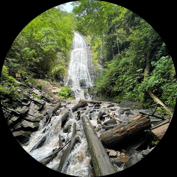 Profile Picture of Lucrecia Aifan (@aifanl) on Poshmark