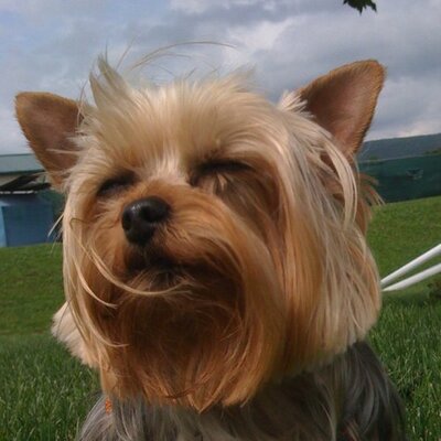 Profile Picture of Randy Newlin (@mrcabling1) on Twitter