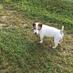 Bernard Mccarty - Instagram Profile Picture of Bernard Mccarty (@bernardmccarty) on Instagram