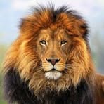 Profile Picture of Cleiton Gualter (@elder.filho.90) on Facebook