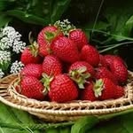 Profile Picture of Anwer Basha (@basha.anwer) on Instagram