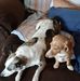 Profile Picture of Gladys Belcher (@gladys.belcher.52) on Facebook