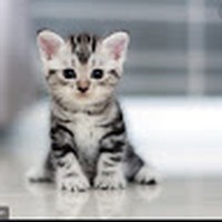 Profile Picture of Johnathan Rodriguez (@johnathan-rodriguez-67) on Quora