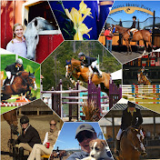 Profile Picture of Patrick Seaton Stables (@patrickseatonstables1546) on Youtube