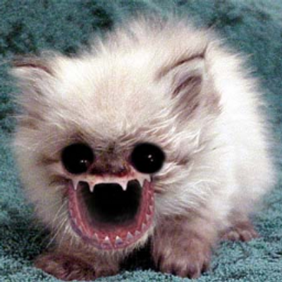 Profile Picture of Adam Weld (@Kungphock) on Twitter