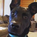 Profile Picture of lyle hull (@fat_l97) on Instagram