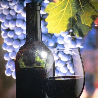 Profile Picture of Cyrus Irani (@CyrusDIrani) on Twitter