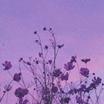 Profile Picture of rose 💜 (@roselyn.danielson) on Instagram