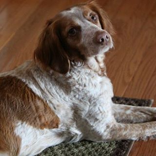 Profile Picture of Thomas Nedler (@thomas.nedler.3) on Facebook