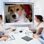 Profile Picture of Jan Croucher (@croucherjan) on Instagram