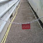 Profile Picture of Peter Stumpf (@xarddam) on Instagram