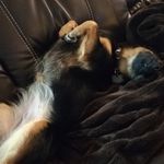 Profile Picture of Martina Pflanz (@pflanz.martina) on Instagram