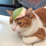 Profile Picture of Nguyễn Thị Thuỷ Tiên (@raeseo137) on Instagram