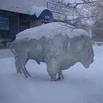 Profile Picture of Doug Kerr (@Dougtone) on Flickr