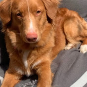 Profile Picture of Owen Stark (@owenstark2704) on Youtube