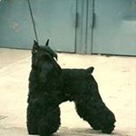 Profile Picture of Sherry Mc Dowell (@sherry.m.dowell) on Instagram