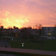 Profile Picture of Heidi Ziegler (@ziegler_heidi) on Twitter