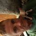 Profile Picture of Randall Tipton (@randall.tipton.52) on Facebook