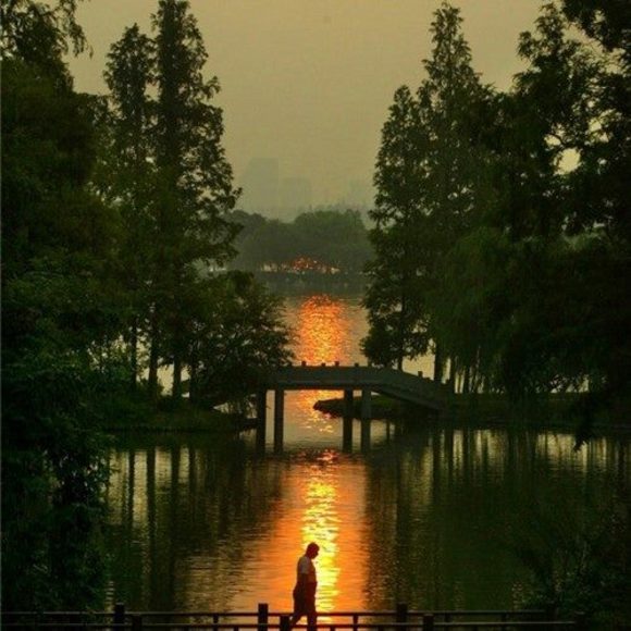 Profile Picture of Ken Zheng (@kenzheng2238) on Poshmark