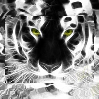 Profile Picture of KD (@KD) on Facebook