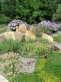 Profile Picture of Betty Ford Alpine Gardenson Wikipedia