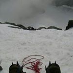Profile Picture of Maja Cyparska (@cyparska) on Instagram
