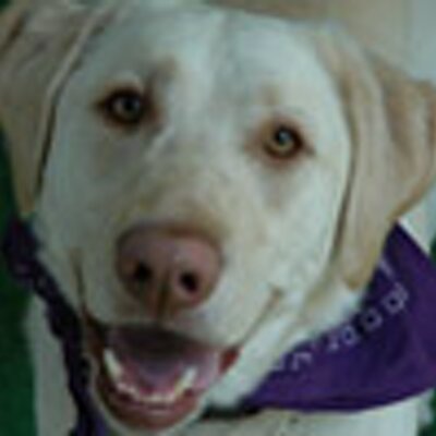 Profile Picture of Jo Hansen (@joahansen) on Twitter