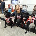 Profile Picture of 吳宜秀 (@kkjj.k4497) on Instagram