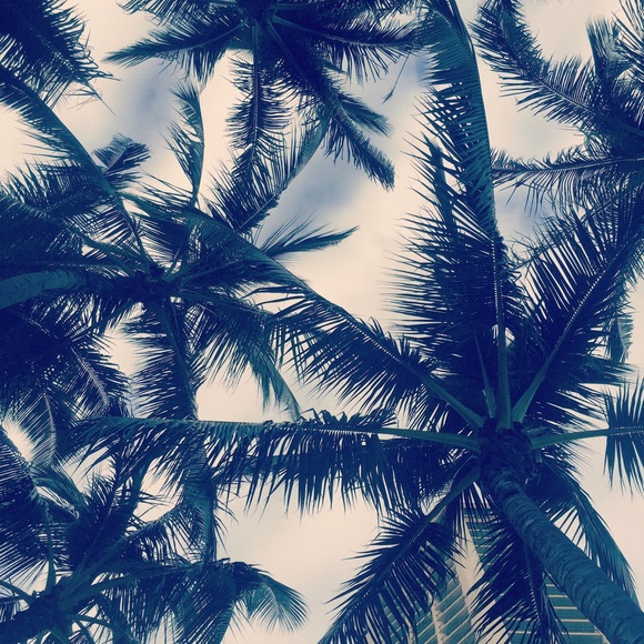 Profile Picture of Heather Tettelbach (@htettelbach) on Poshmark